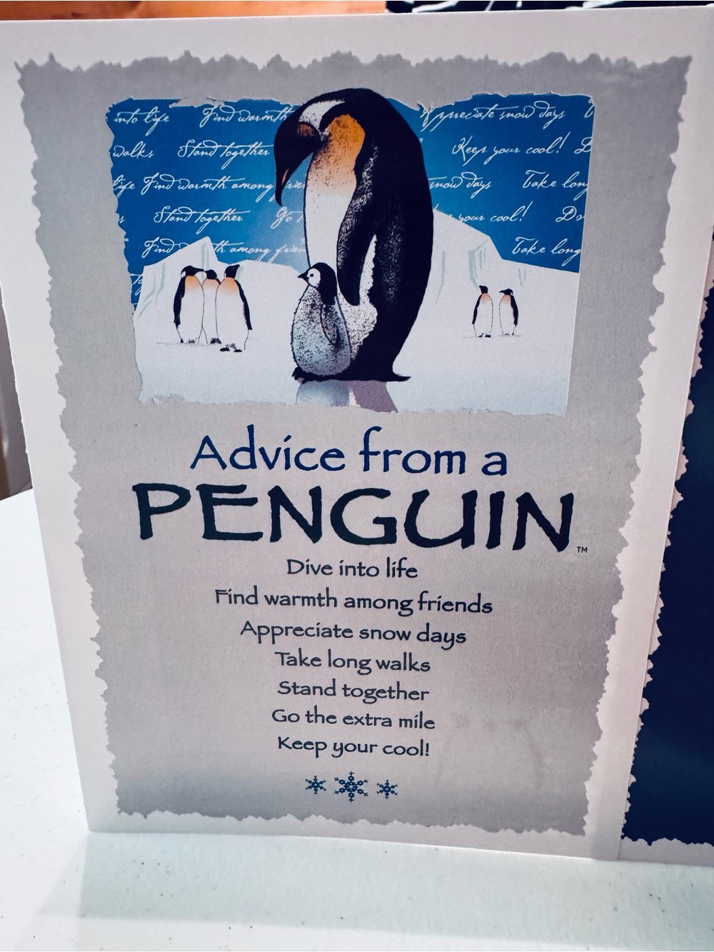 Advice from a Polar Bear,Penguin,Glacier& Sea Turtle Art Print Greeting Card Set - Picture 4 of 13